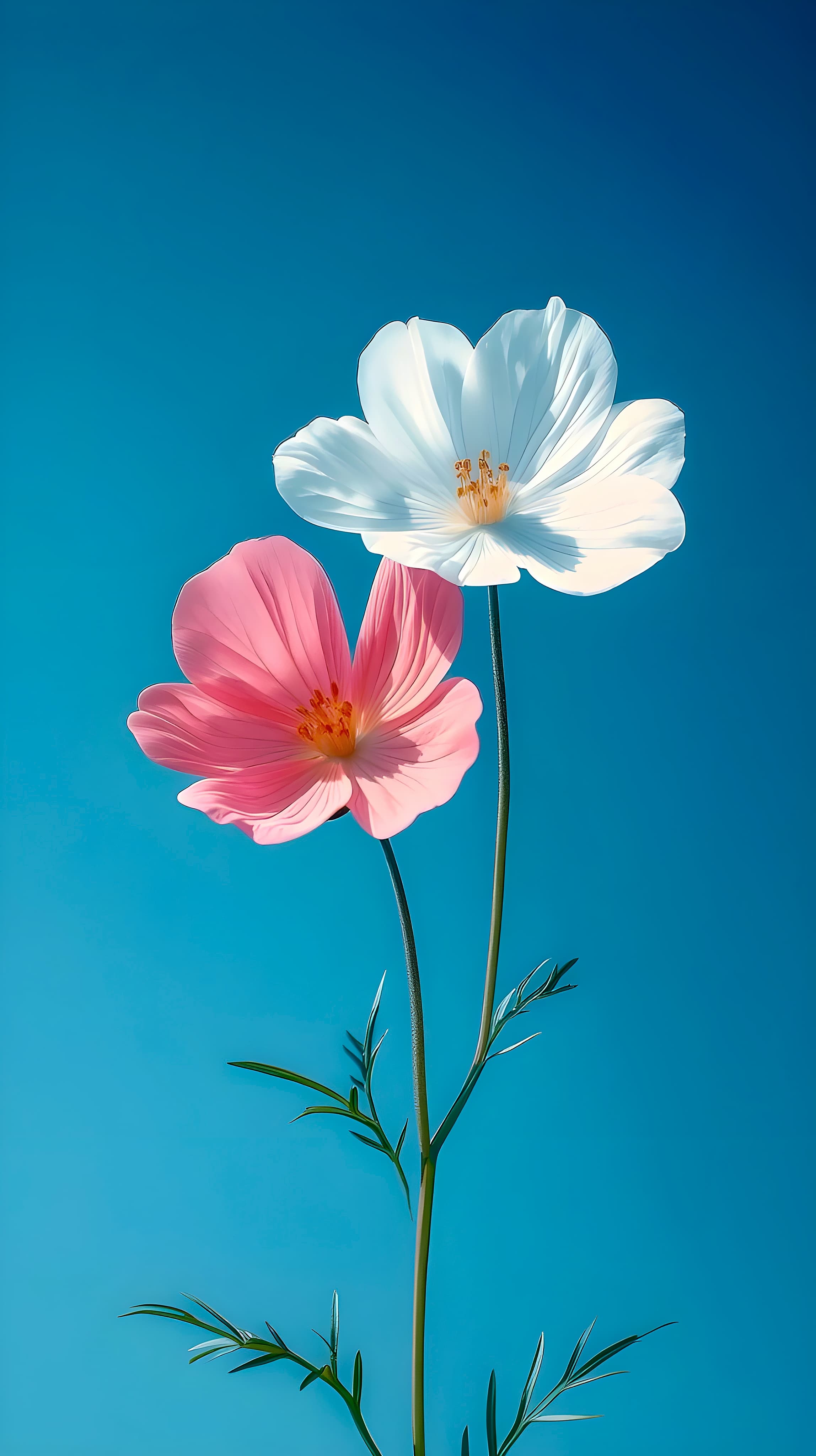 Minimal flowers wallpaper
